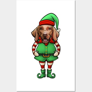 Funny Vizsla Christmas Elf Posters and Art